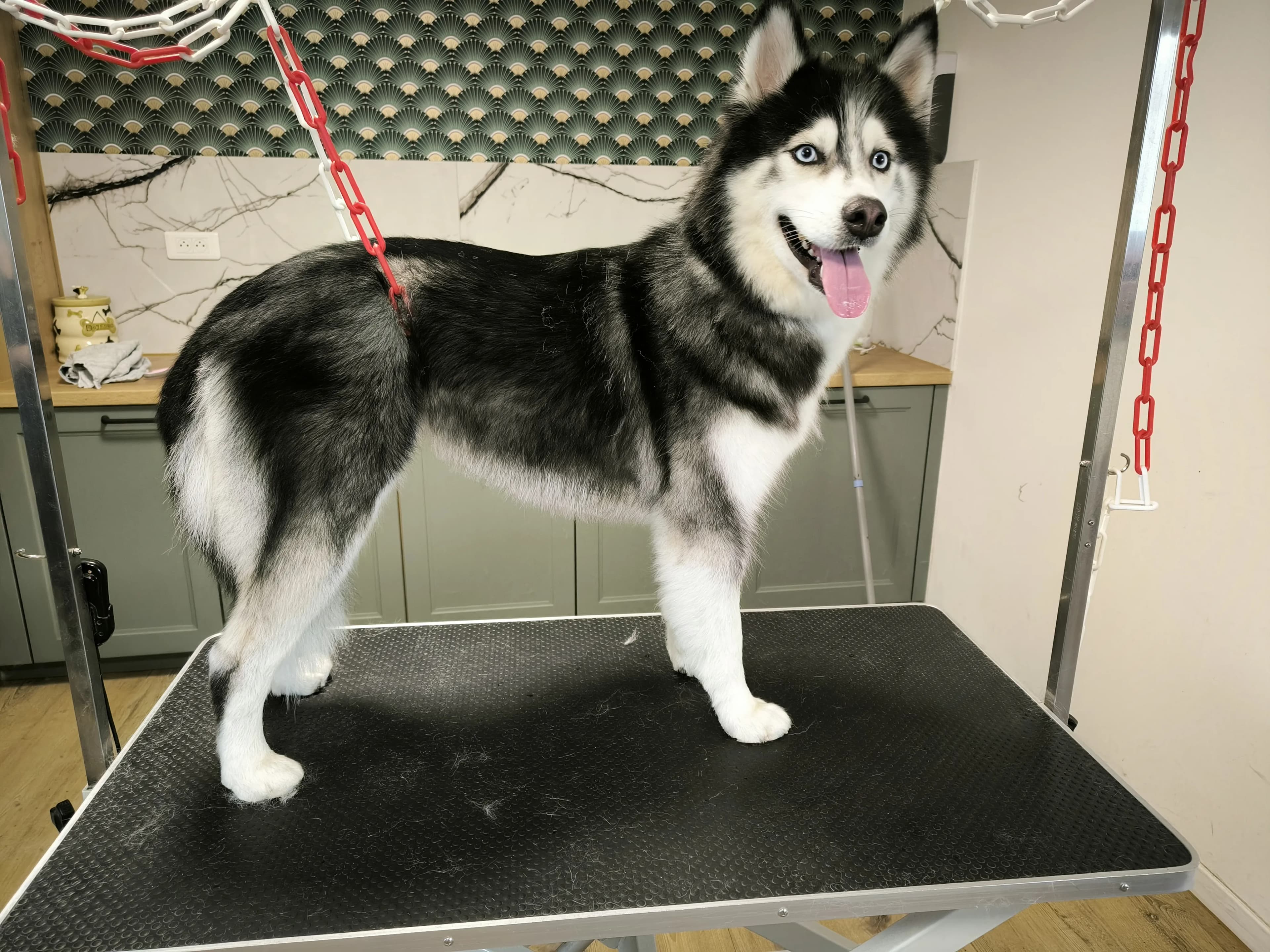 Forfait Gabarit Moyen