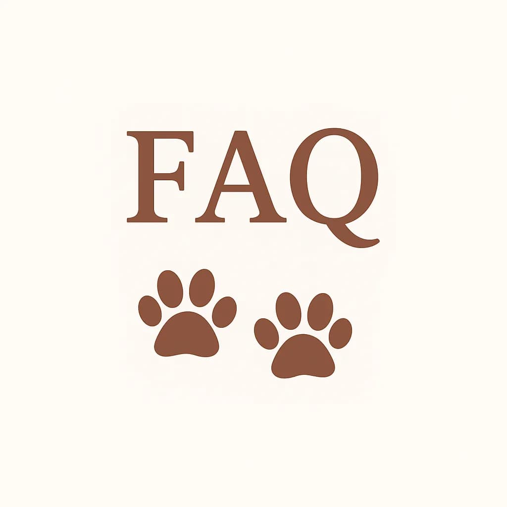 FAQ illustration