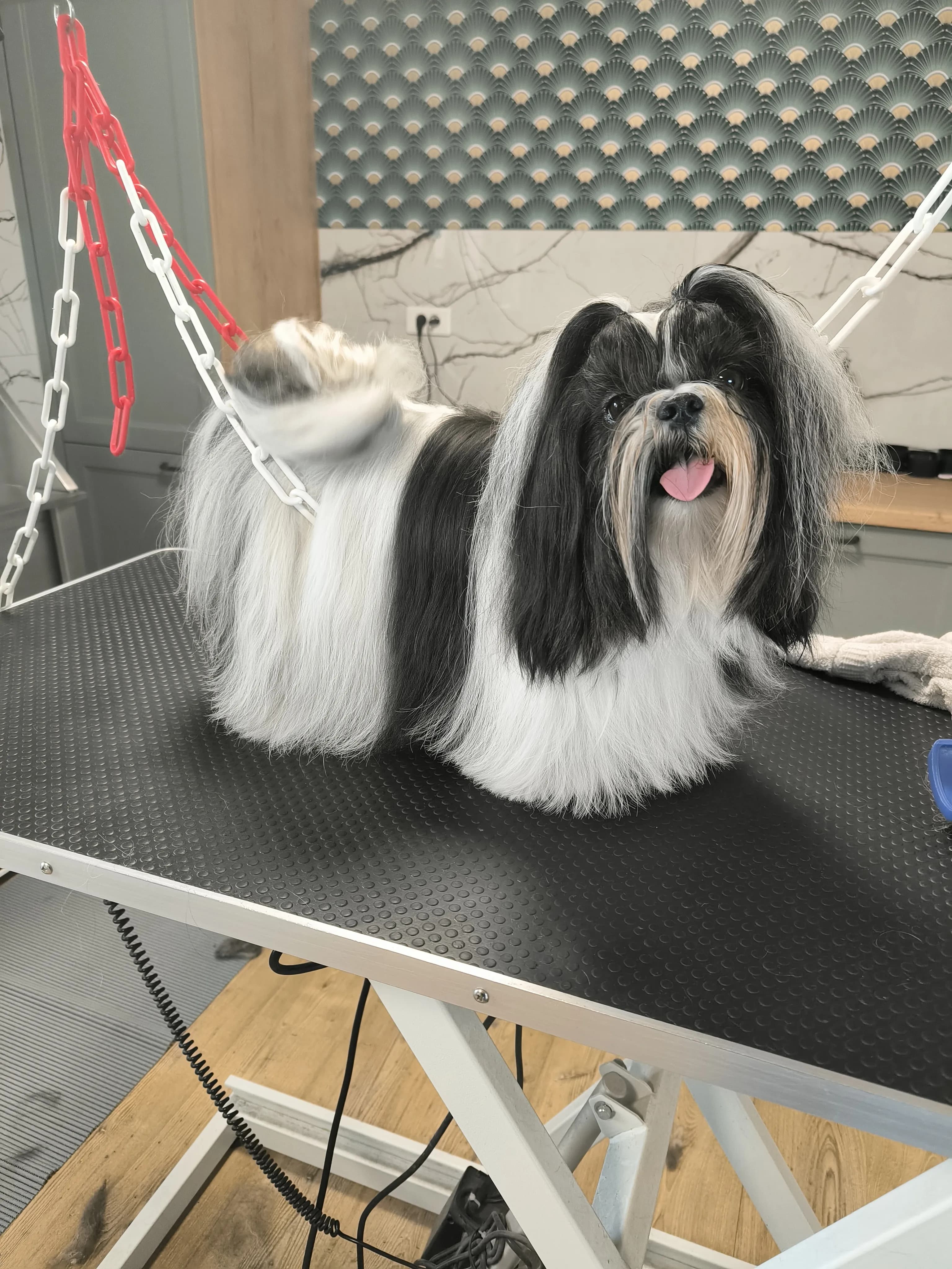 Forfait Très Petit Gabarit