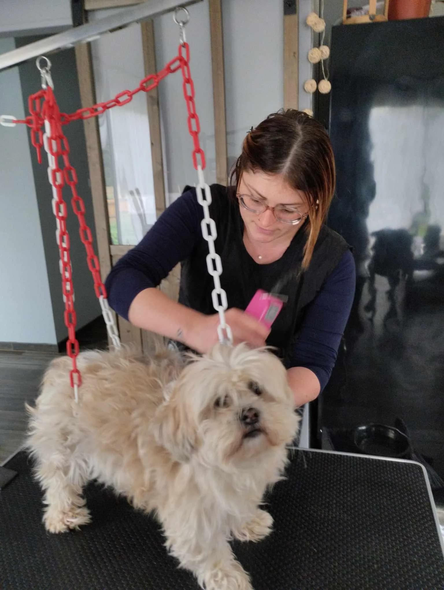 Forfait Petit Gabarit